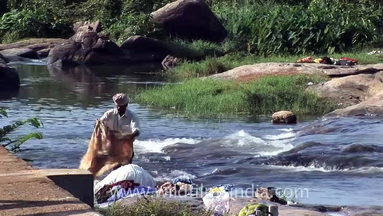 Washing clothes at Thirparappu Falls