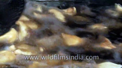 Samosa fry street food in Chandni Chowk