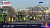 Colère des agriculteurs: marion maréchal, tête de liste 