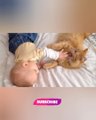 ❤When❤ cats meet babies for the first time. Best Video compilation #funny #viral #reels #pets