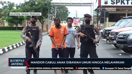 Mandor Cabuli Anak Di Bawah Umur hingga Korban Melahirkan
