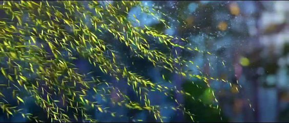 Le Royaume de Naya Bande-annonce VF