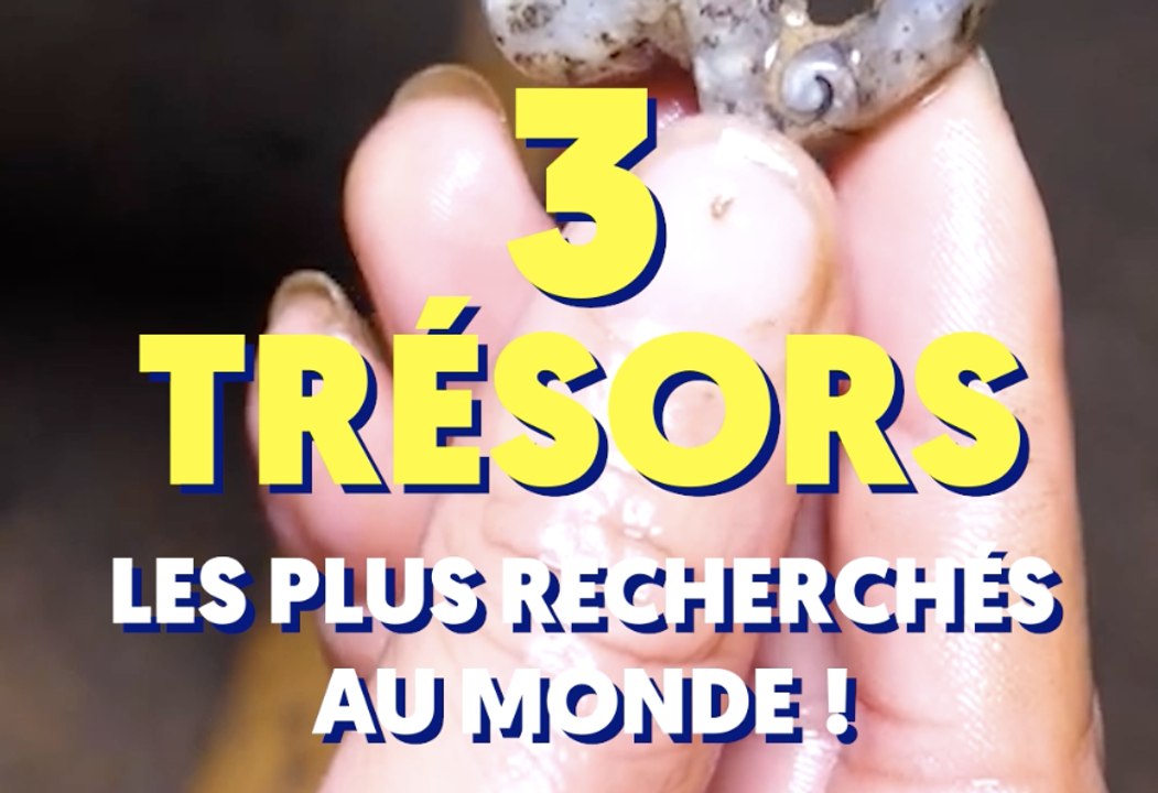 Les 3 trésors les plus recherchés au monde
