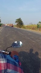Loaded sugarcane bullock cart