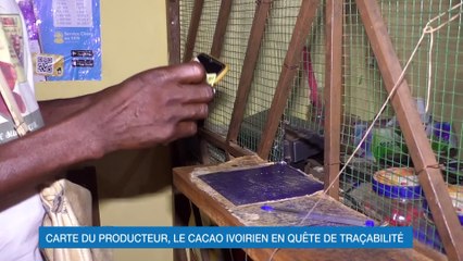 Carte du producteur : le cacao ivoirien en quête de traçabilité (Dossier Ecoplus)