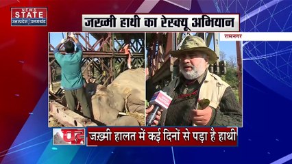 Uttarakhand News : Ramnagar में 15 दिन से घायल पड़े हाथी का रेस्क्यू करने पहुंची आर्मी की टीम