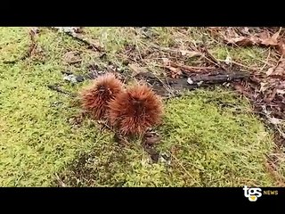 Salina: mare e montagna, i tesori dell'isola