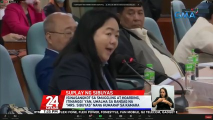 Isinasangkot sa smuggling at hoarding, itinanggi 'yan; umalma sa bansag na "Mrs. Sibuyas" nang humarap sa Kamara | 24 Oras