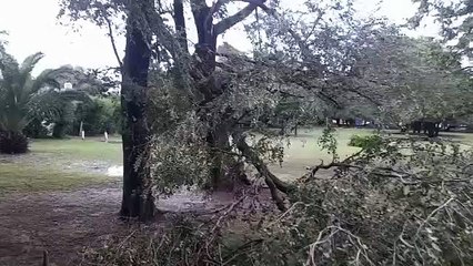 Vientos de 120 km/h y graves destrozos en Coronel Dorrego
