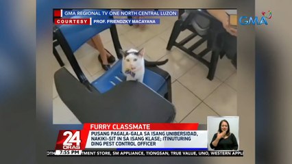Pusang pagala-gala sa isang unibersidad, nakiki-sit-in sa isang klase; itinuturing ding pest control officer | 24 Oras