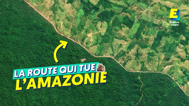Comment cette route a détruit la forêt amazonienne ?