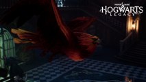 Phénix Hogwarts Legacy : Comment obtenir l'oiseau légendaire des Dumbledore ?