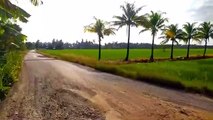 05.Suasana keindahan alam desa dan sawah