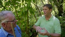 Evolution episode 1 - Hawaii