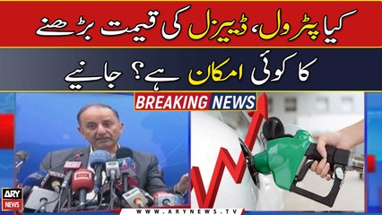 Musadik Malik says country has 20-day petrol, 29-day diesel stocks available