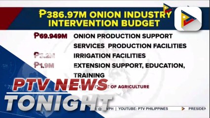 DA allots P326.97M to improve onion industry productivity in PH