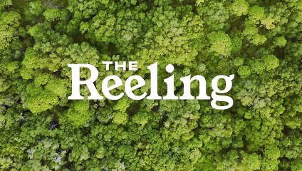 The Reeling,coming soon