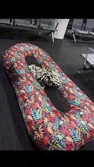 Passageira com voo atrasado abre colchão de praia no aeroporto... e dorme