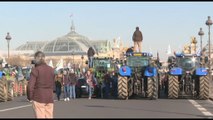 Protestano 500 trattori a Parigi, gli agricoltori contro Macron