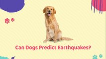 Can Dogs Predict Earthquakes?