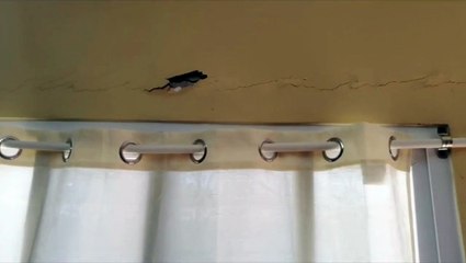 Así se vivió el sismo en Honduras