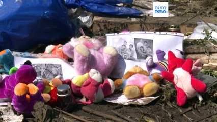 Гаага: "Путин может нести личную ответственность за MH17"