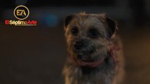 Vida perra - Trailer VO