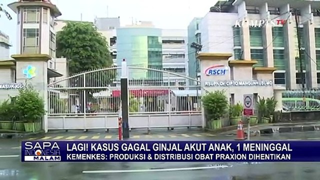 Kasus Gagal Ginjal Akut Anak Telan Korban, Produksi dan Distribusi Praxion Dihentikan