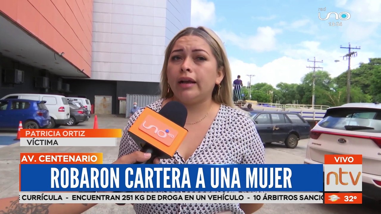Dos antisociales atracaron a una mujer que llev...