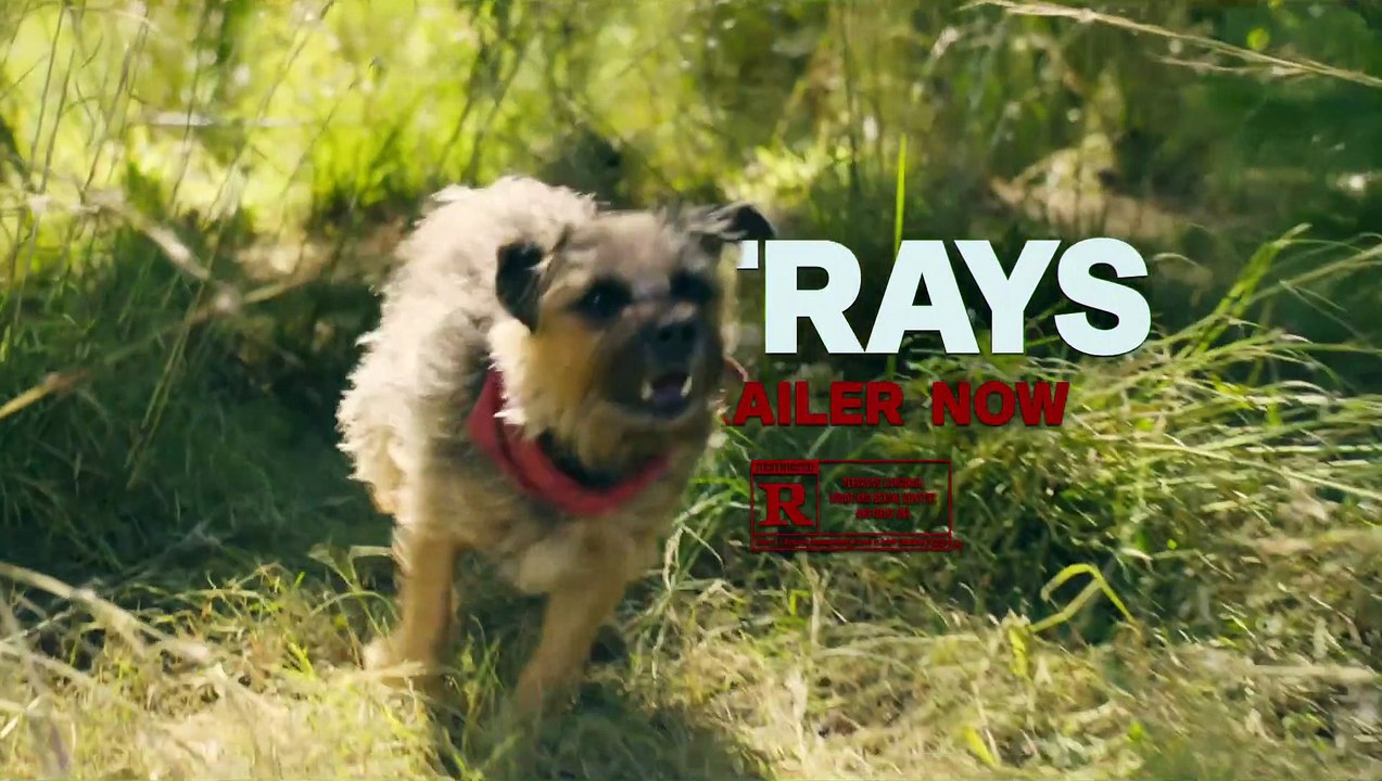 Strays - Official Trailer