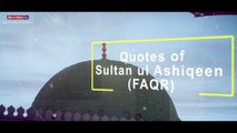 Quotes of Sultan ul Ashiqeen | Sufi Quotes In Urdu On Faqr | Sufi Quotes in urdu/hindi Sultan ul Ashiqeen Quotes