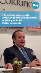 ¿Es verdad que se está amarrando una alianza entre el PRM y el PLD? Paliza responde