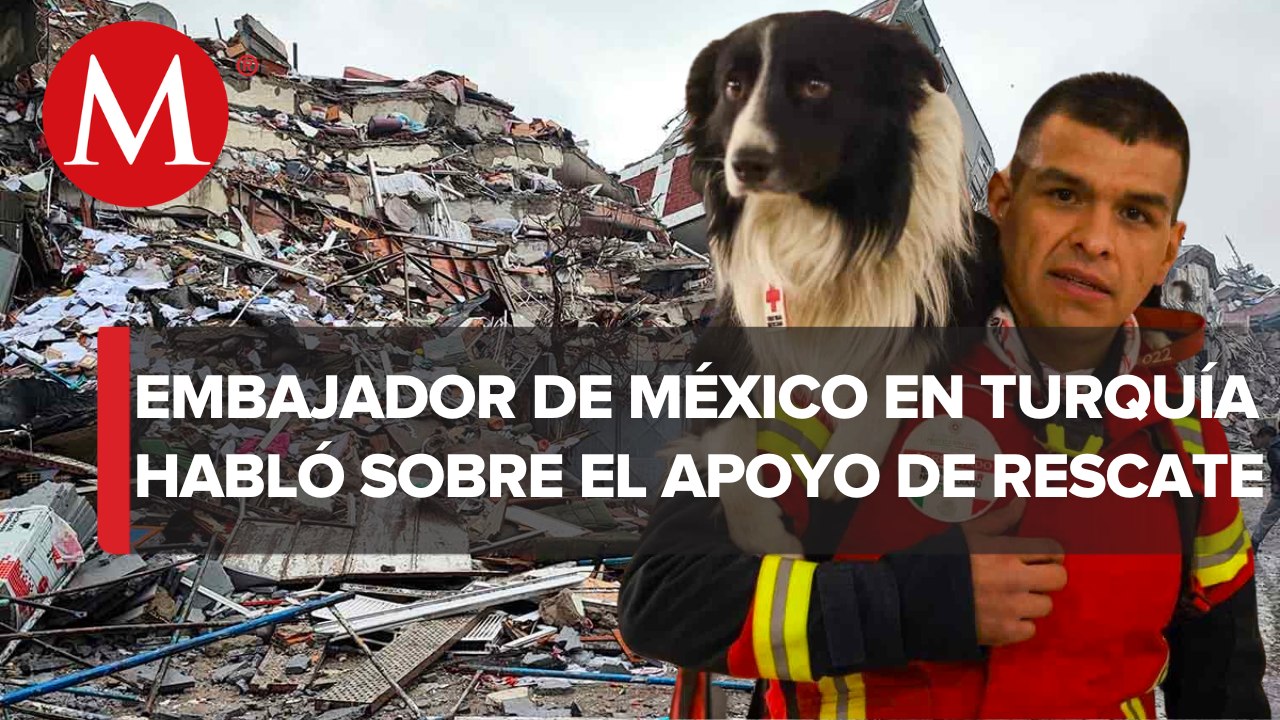 Rescatistas mexicanos tienen experiencia en estos casos: Embajador de México en Turquía