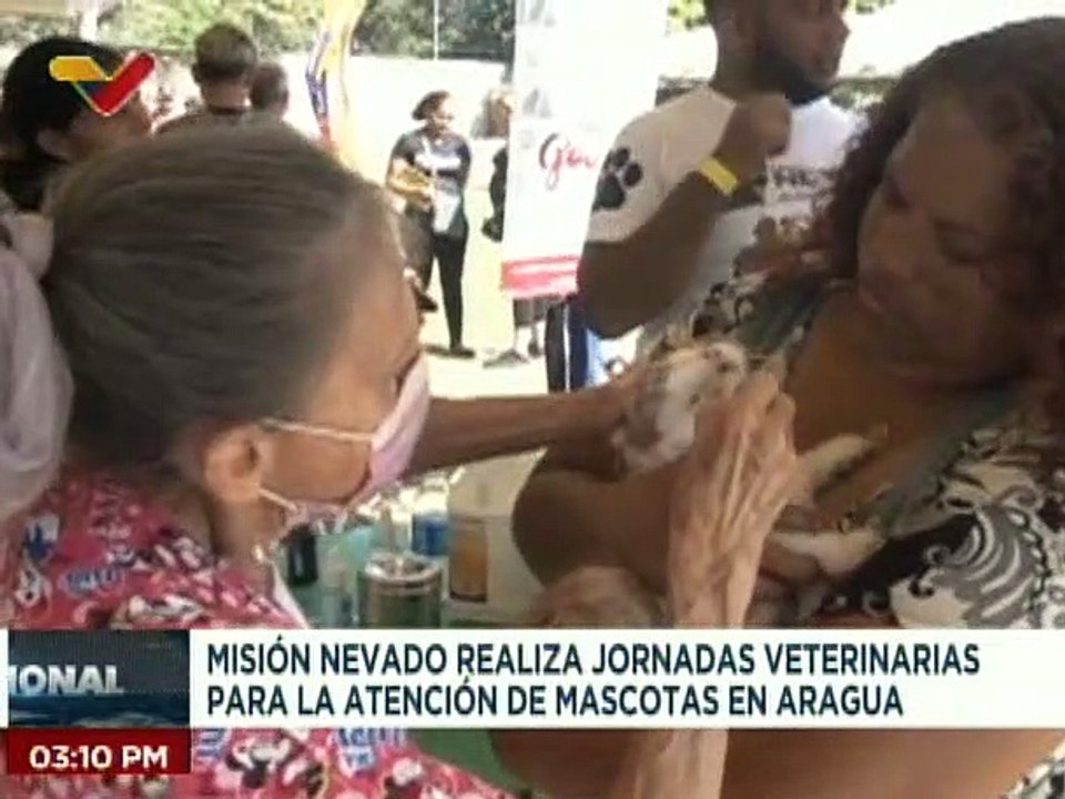 Misión Nevado realiza mega jornada veterinaria para más de 800 mascotas en el edo. Aragua