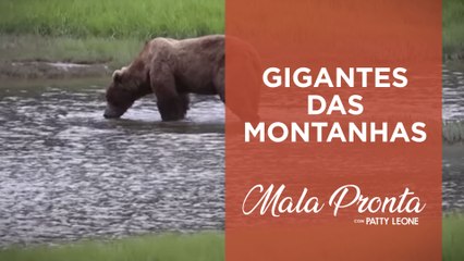 Conheça o Bear Mountain Lodge: Observatório de ursos no Alasca com Patty Leone | MALA PRONTA