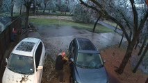 Ice Storm in Austin Causes Tree Branches to Fall (Close Call)