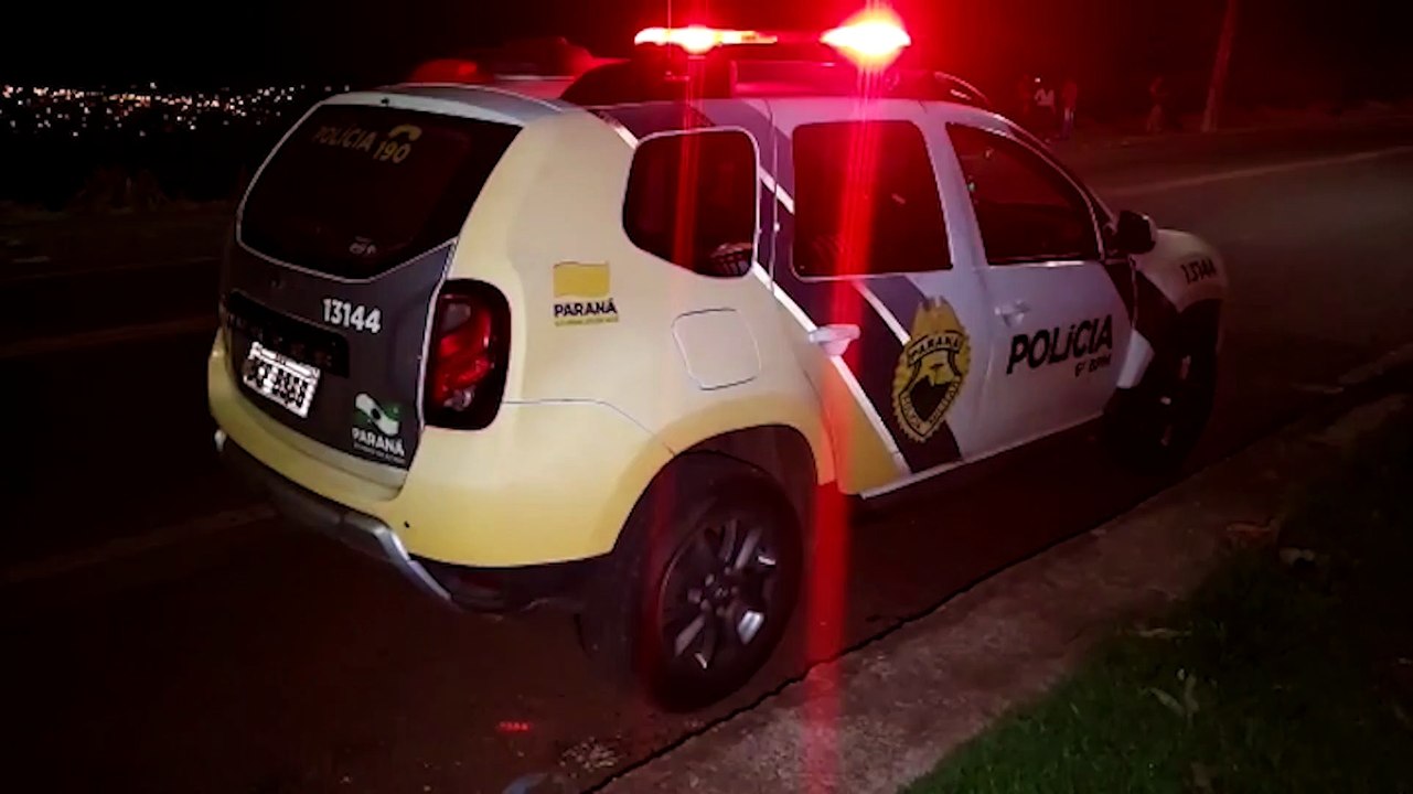 Homem ao atropelar cão: "se abandono sou culpado, se chamo socorro ninguém vem"