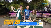 Ano nga ba ang dapat gawin kapag nakakita ng ahas? | Unang Hirit