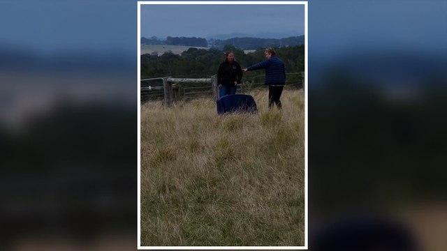 Kelly the white-bellied sea eagle released back into the wild | February 2023 | Bay Post