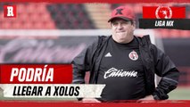 Miguel Herrera apunta a ser DT de Xolos