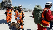 ¡Héroes! Rescatistas de todo el mundo llegan a Turquía y Siria para apoyar las labores de rescate