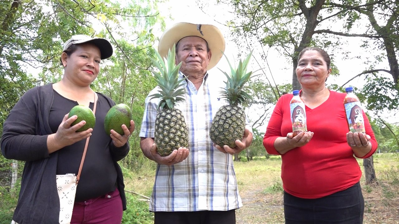 Inatec lanza Programa de Educación Técnica en el Campo 2023