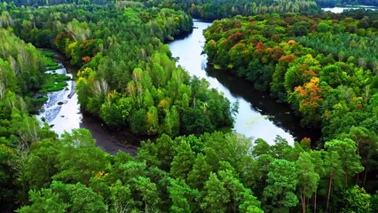 Beautiful Relaxing Music - Peaceful Soothing Instrumental Music, Stress Relief, Claming Music