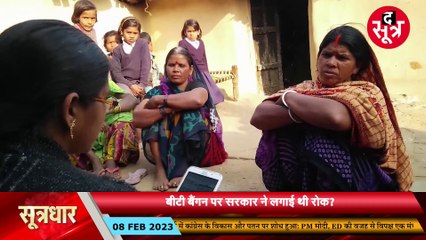 इतिहास के पन्नों से... आजाद भारत में हुई थी एक नई शुरुआत, सरकार ने क्यों बैन किया बीटी बैंगन?