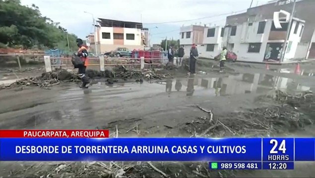 750 familias afectadas: desborde de torrentera arruina decenas de casas y cultivos en Arequipa