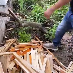 Beautiful and stylish unique wooden tree design.