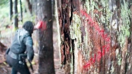 65 ( 2023 ) Trailer Movie -  [ Directed by  : Scott Beck , Bryan Woods ]