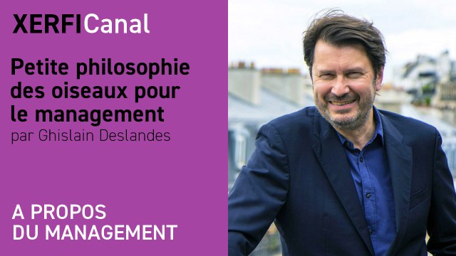 Petite philosophie des oiseaux pour le management [Ghislain Deslandes]