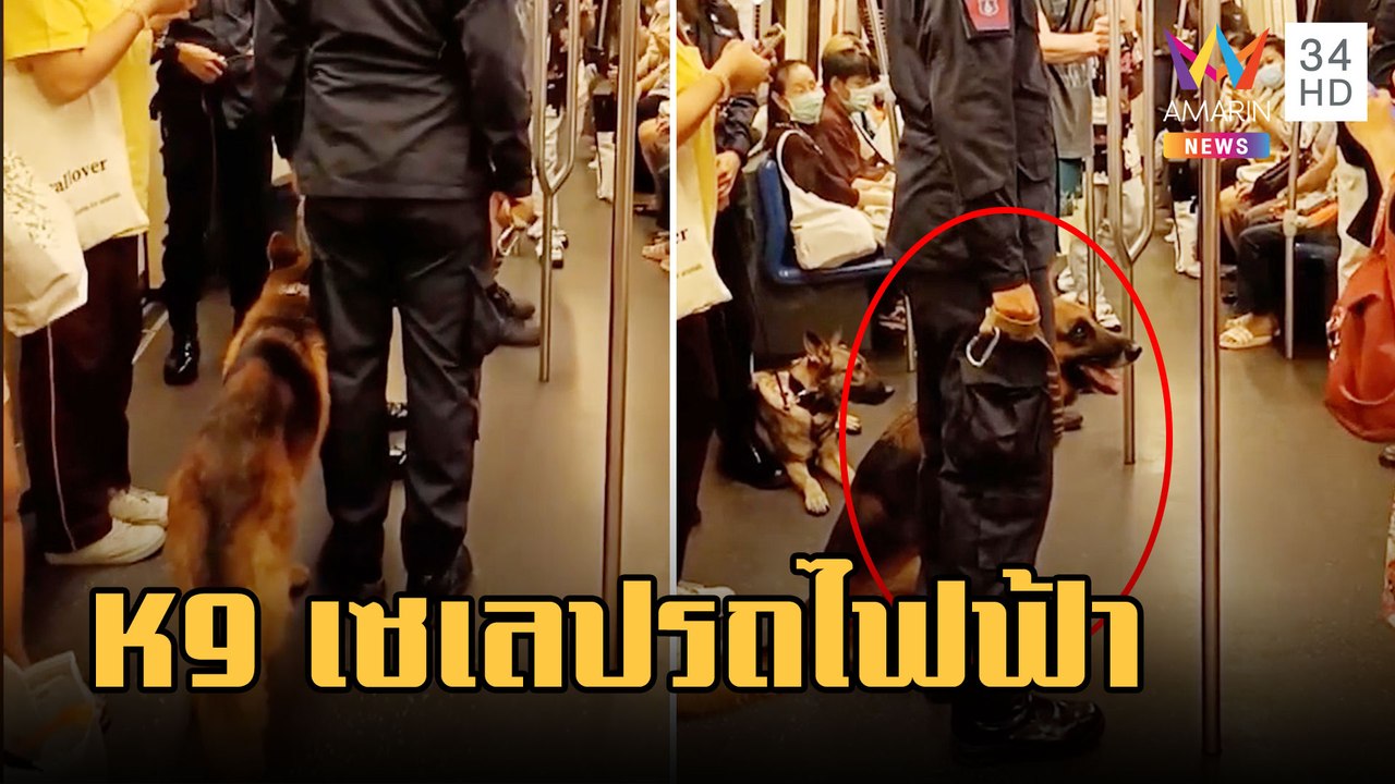 แห่ถ่ายรูปสายตรวจ K9 เซเลปรถไฟฟ้า | ข่าวเที่ยงอมรินทร์ | 9 ก.พ.66
