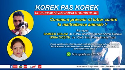 KOREK PAS KOREK : Comment prévenir et lutter contre la maltraitance animale à Maurice ?